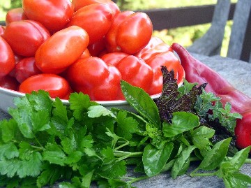 Sharing: Your Garden's Other Health Benefit Image